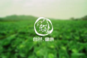 泛海扬帆行动部分创业项目展示
